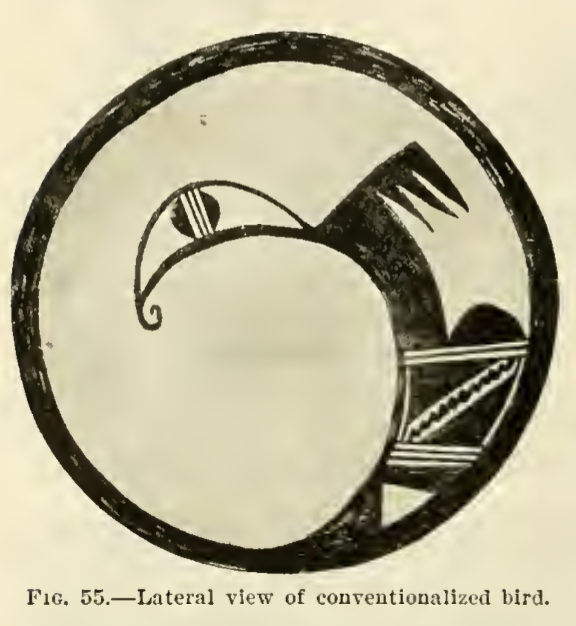 Fig 55: Lateral view of a conventionalized bird